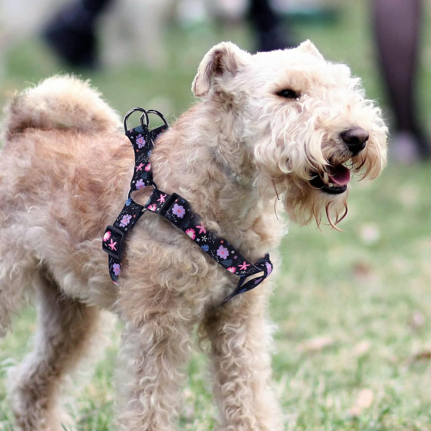 Cute Pattern Dog Leash – 5ft Durable Leash with 360° Swivel Hook for Small & Medium Pets