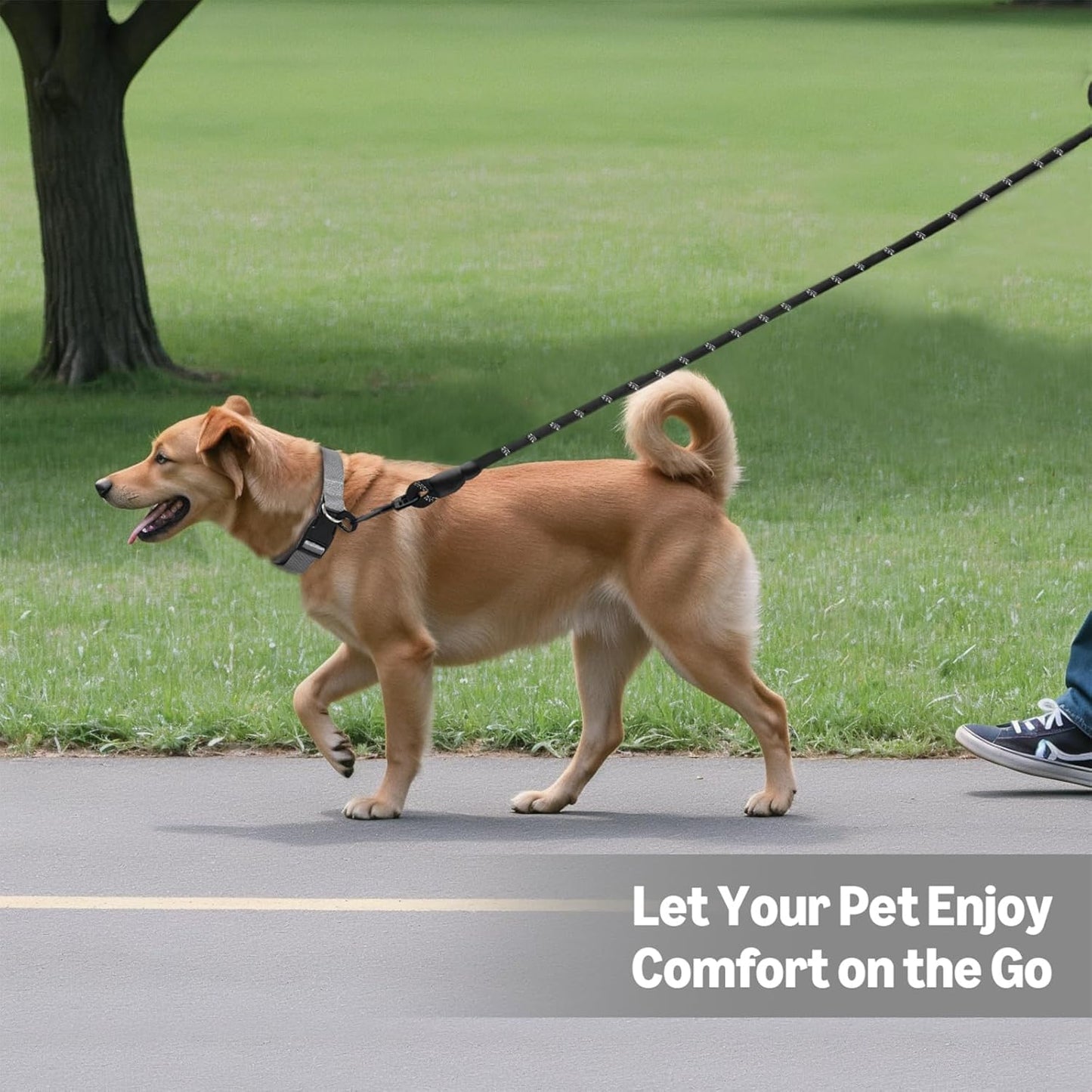 Durable Reflective Pet Leash – Heavy-Duty Climbing Rope with Soft Padded Handle | Anti-Slip Dog Leash for Medium & Large Dogs (Black)