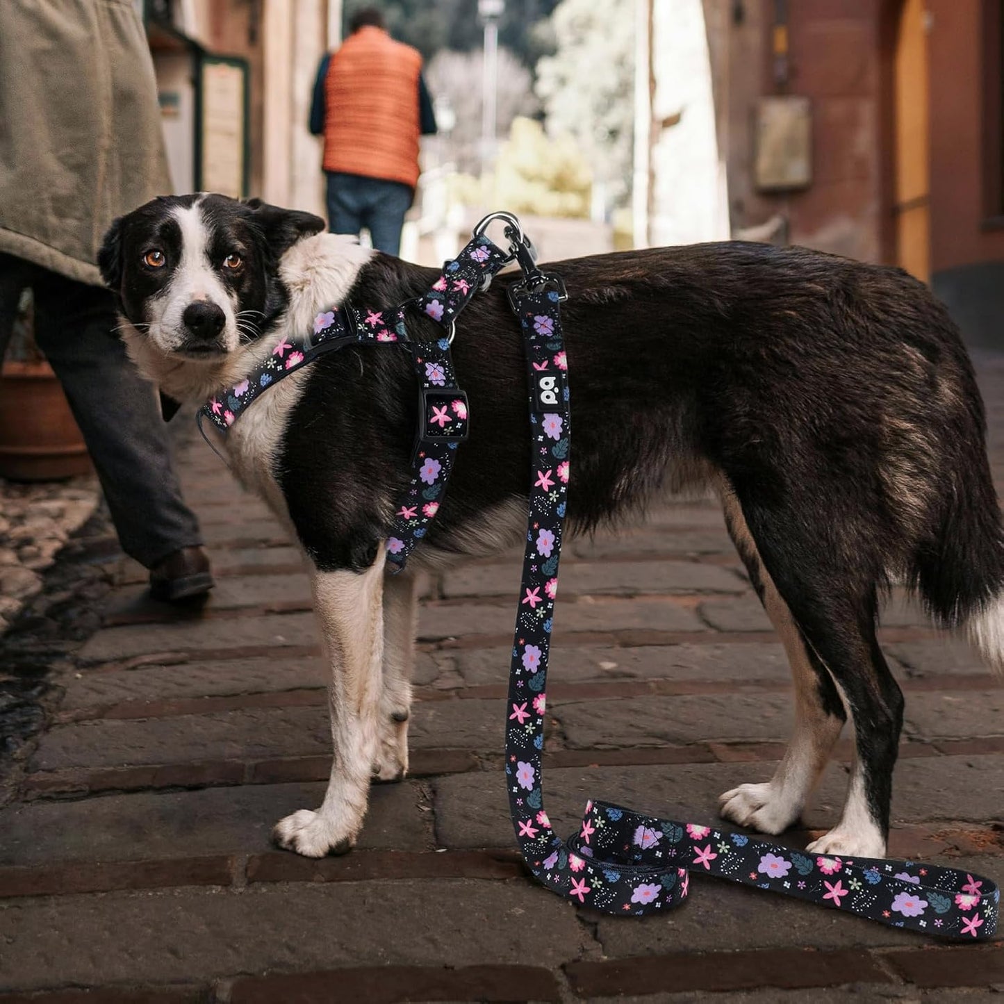 Cute Pattern Dog Leash – 5ft Durable Leash with 360° Swivel Hook for Small & Medium Pets